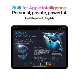 Apple 11-inch iPad Air M3 Wi-Fi + Cellular 128GB -  Space Grey