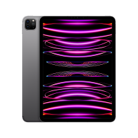 Apple 11-inch iPad Pro 4th Gen Wi-Fi + Cellular 256GB - Space Grey